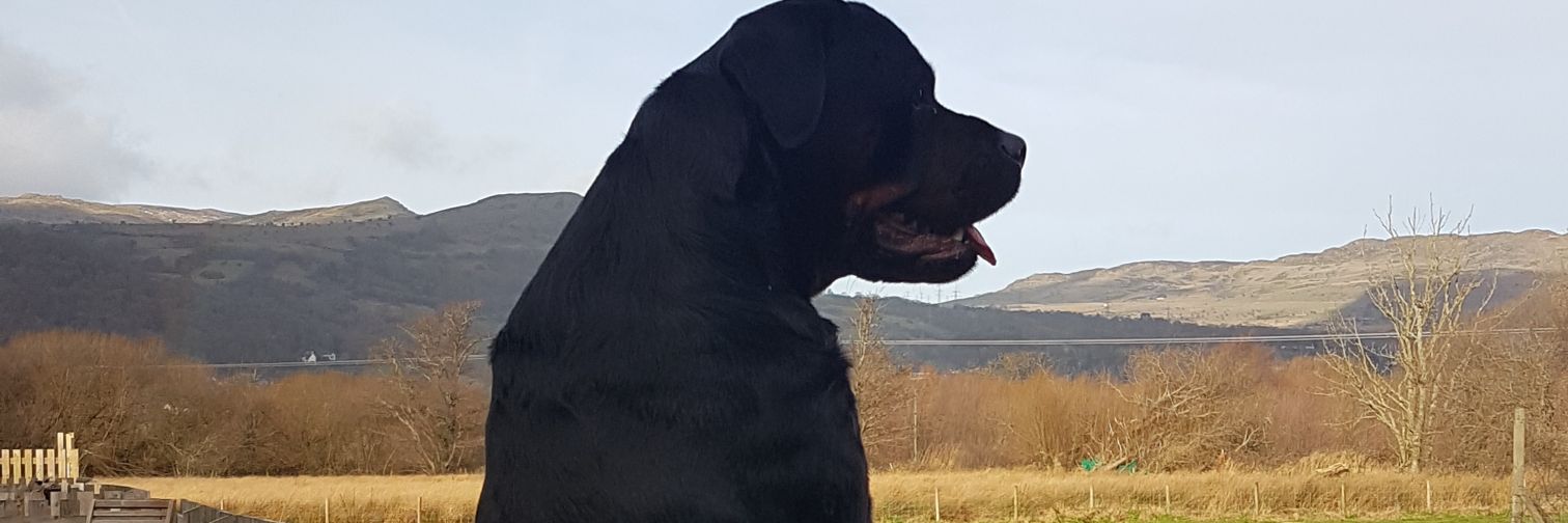 beccaunsworth52's profile banner image
