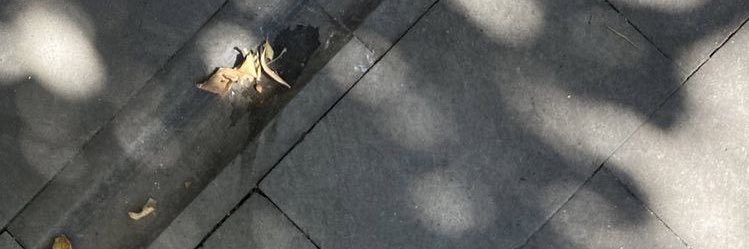 9v_5t's profile banner image
