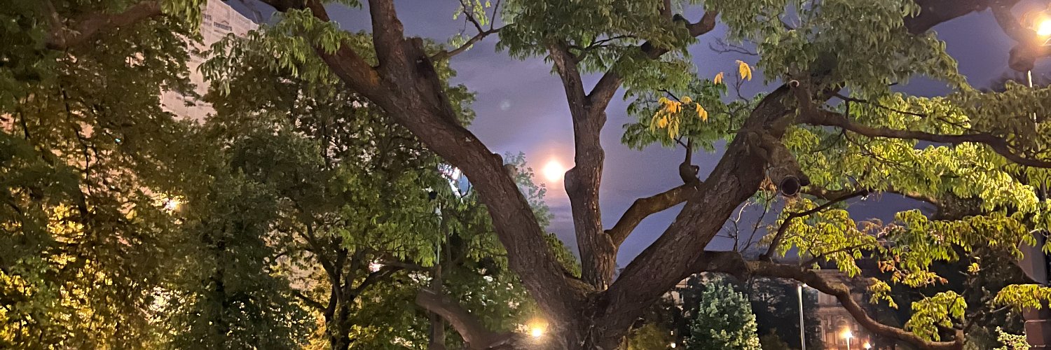 Tymofii Antonenko banner