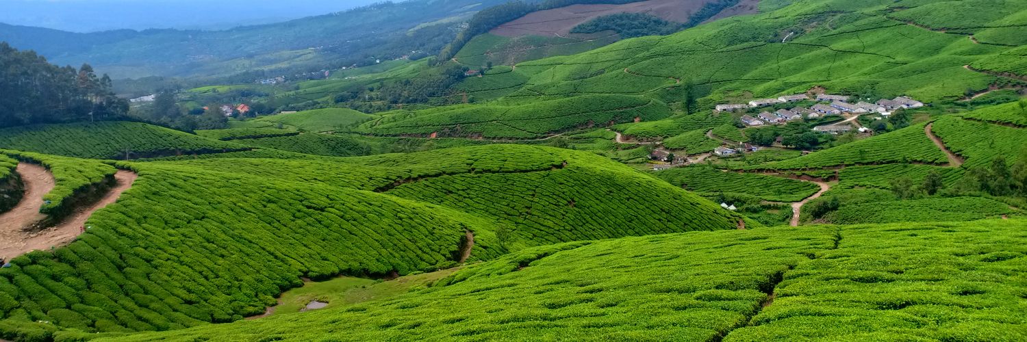 driverskerala's profile banner image