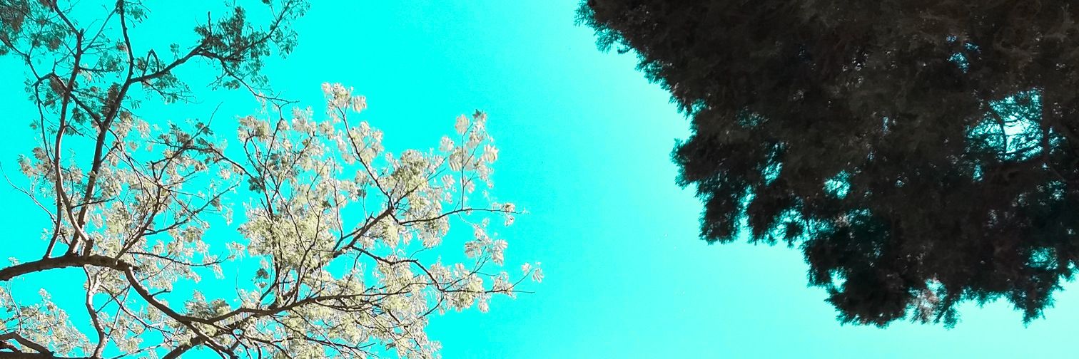 errandorenam's profile banner image