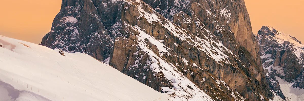 Daniel banner