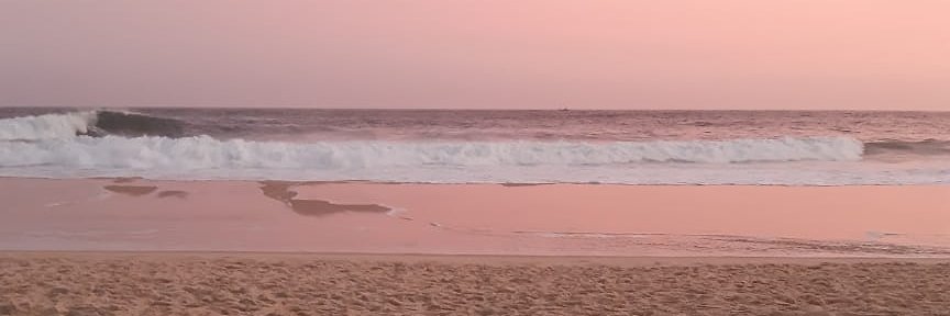 thamiresfada's profile banner image