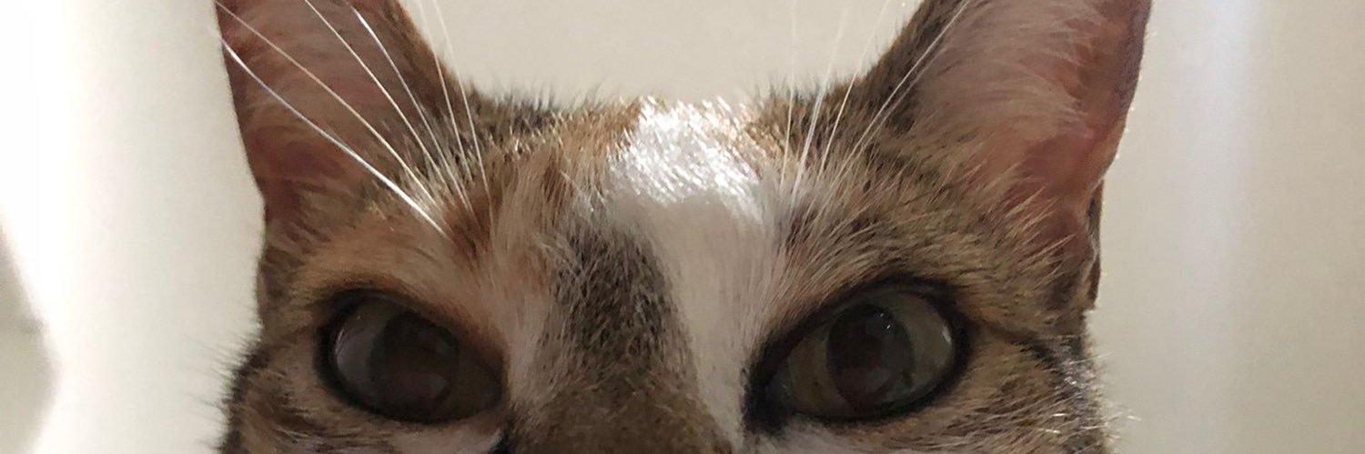 itsanacf's profile banner image