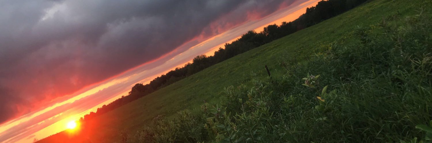katelynomann's profile banner image