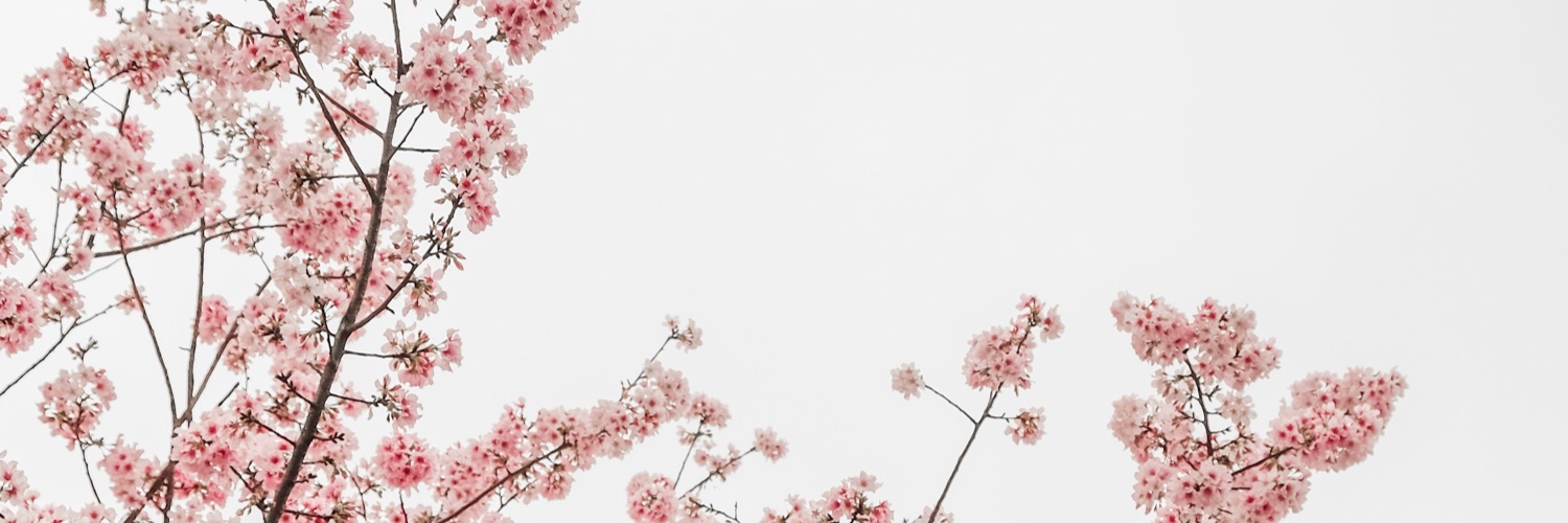 liasplaythrough's profile banner image