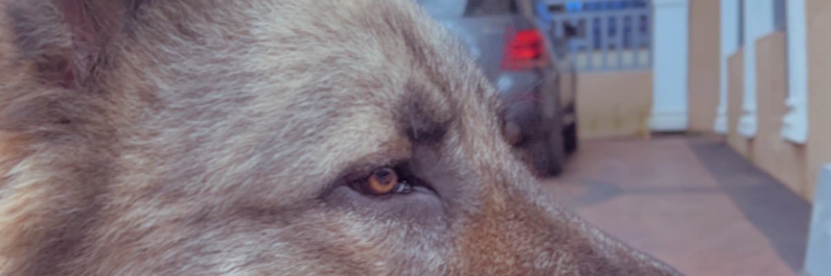 phillymalicka's profile banner image