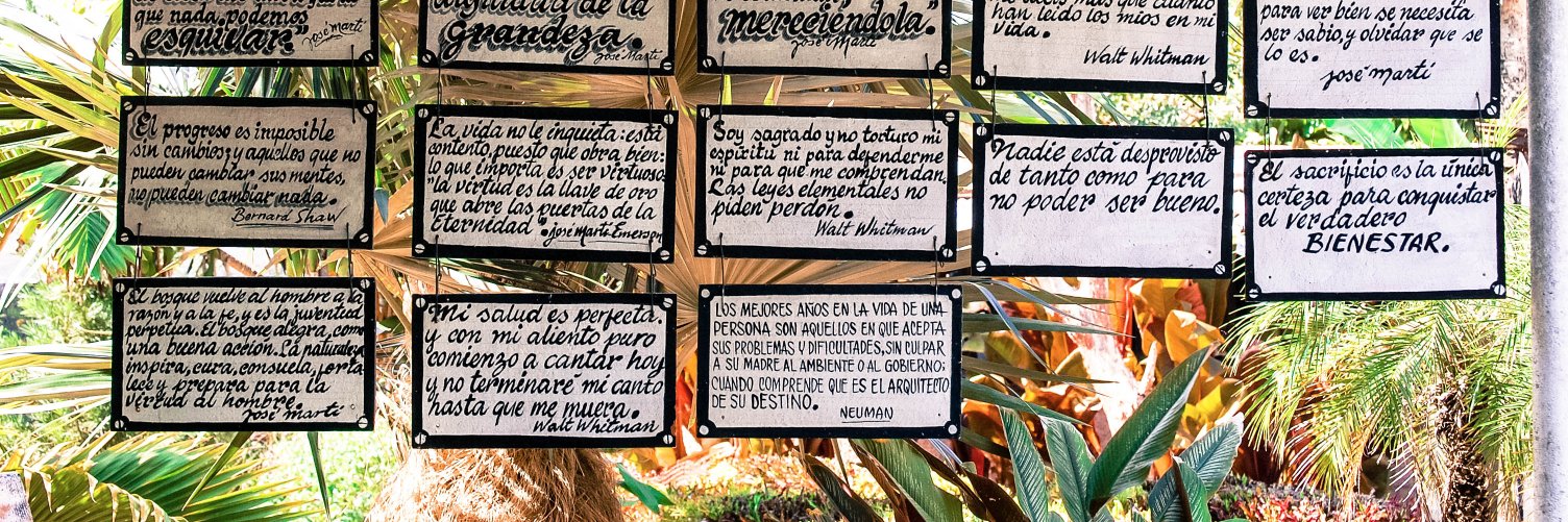 asmencia's profile banner image