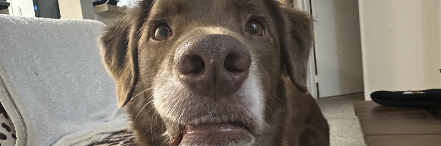 okhansss's profile banner image