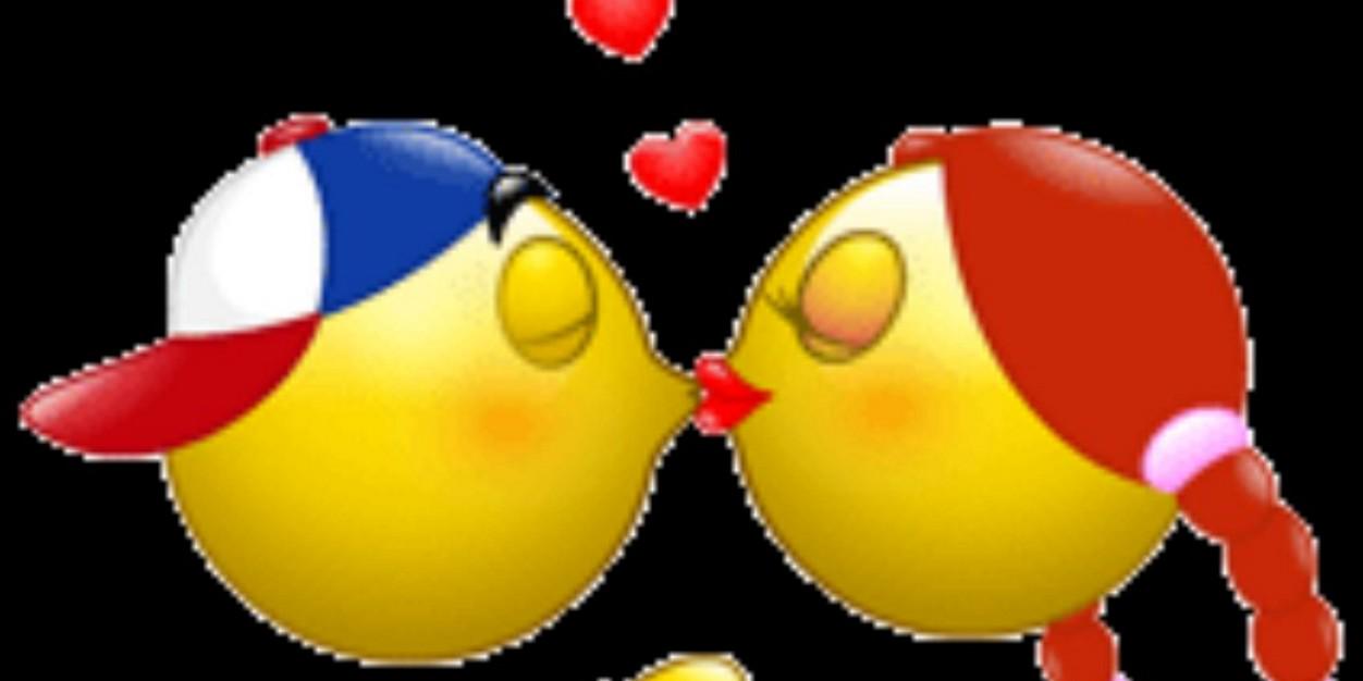 Rosana banner