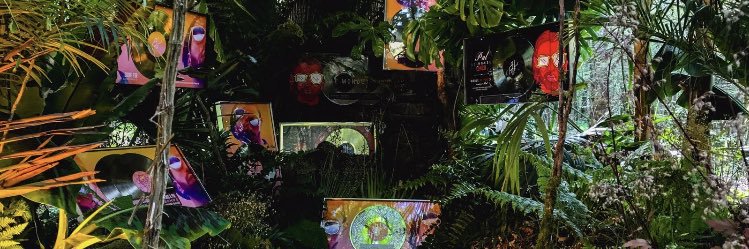 Anntoo34's profile banner image