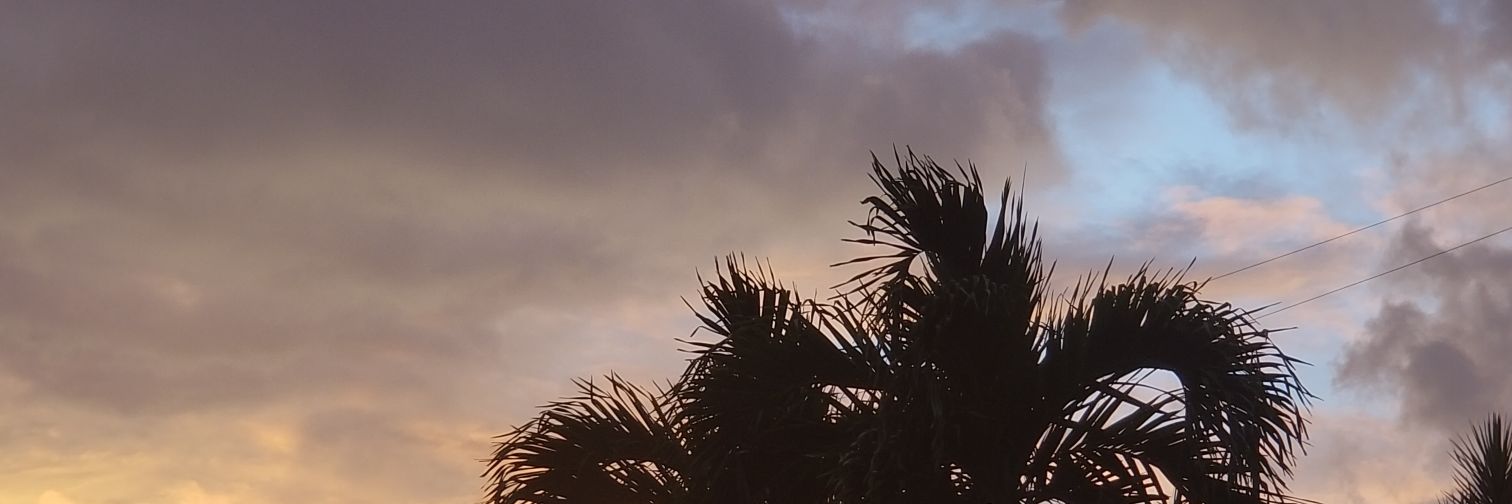 elmersantanas's profile banner image