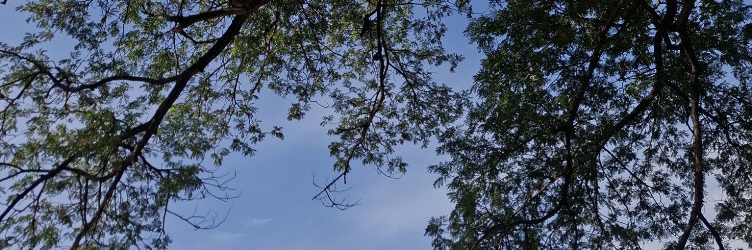SPimsawan's profile banner image