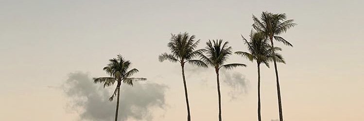 miu1410's profile banner image