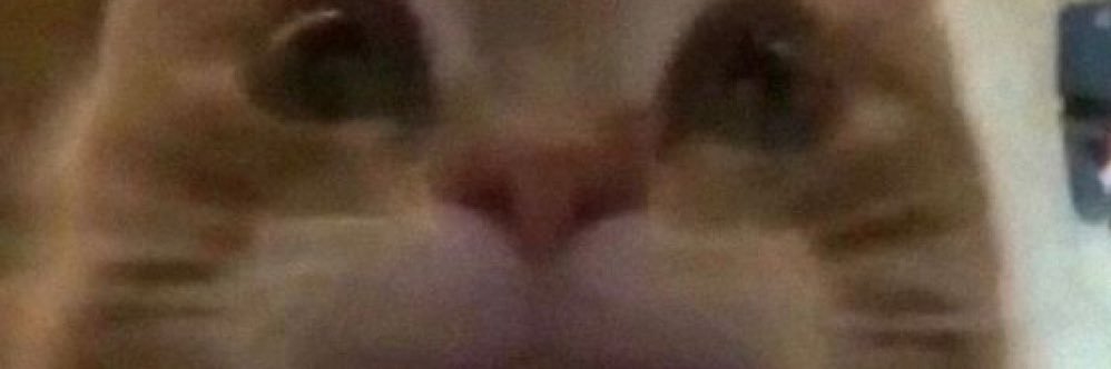 WaytonWritchard's profile banner image