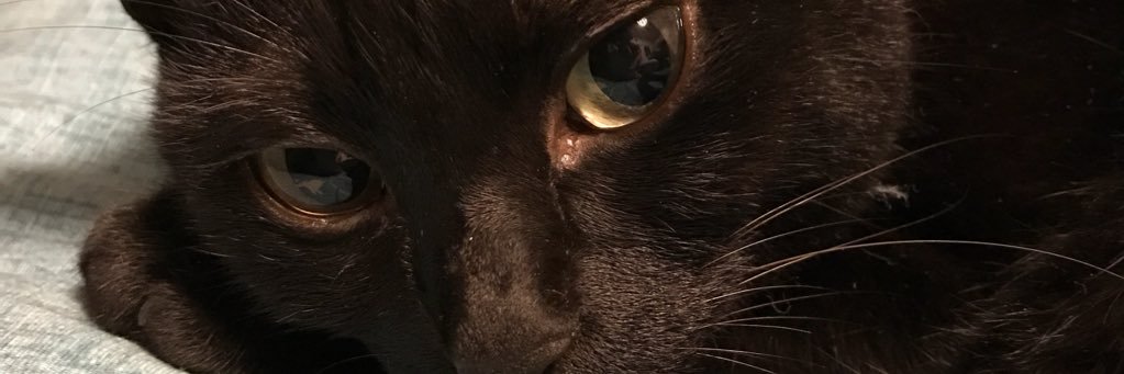 ymkanomom's profile banner image