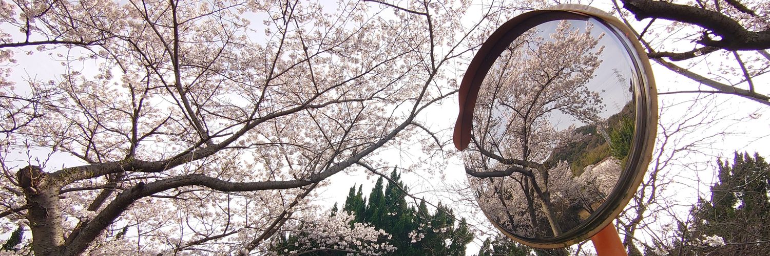 ningendakedocat's profile banner image