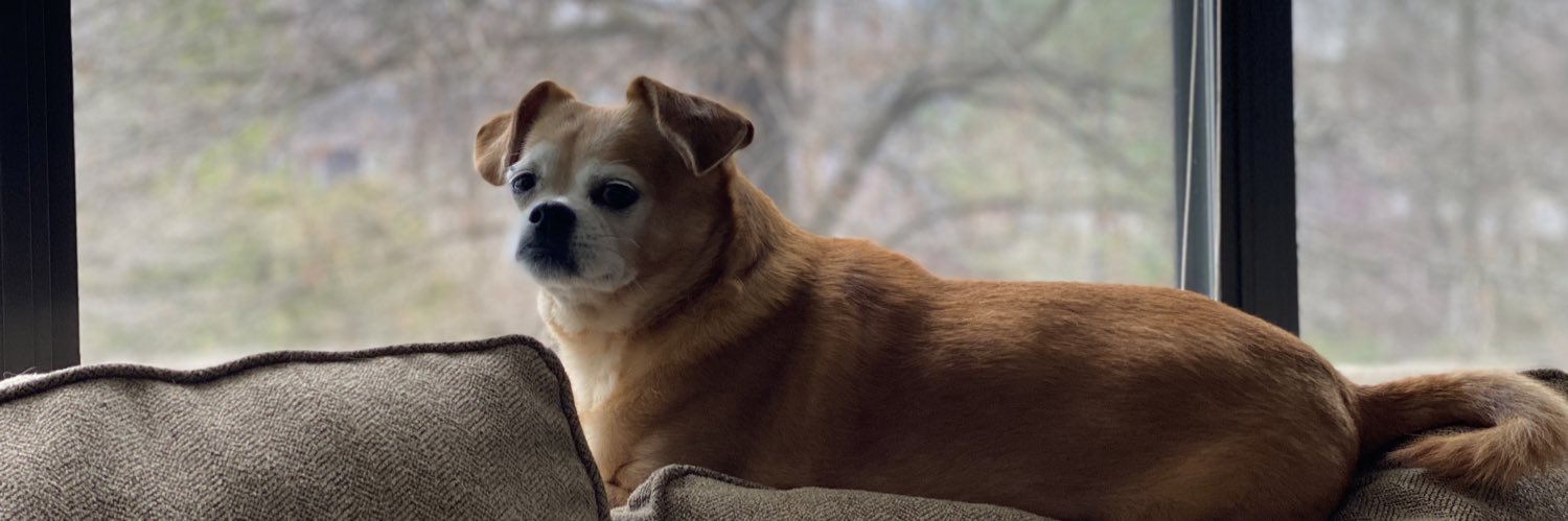 C_Rizzy_'s profile banner image