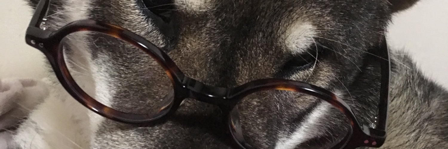 wankousagi's profile banner image