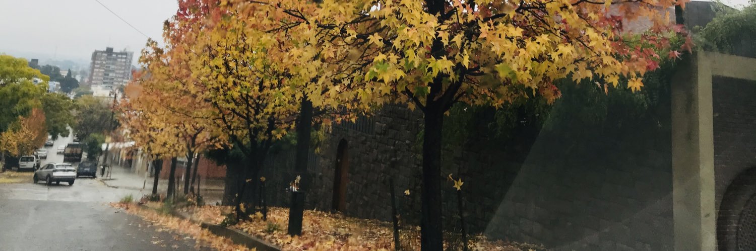 npicoia86's profile banner image