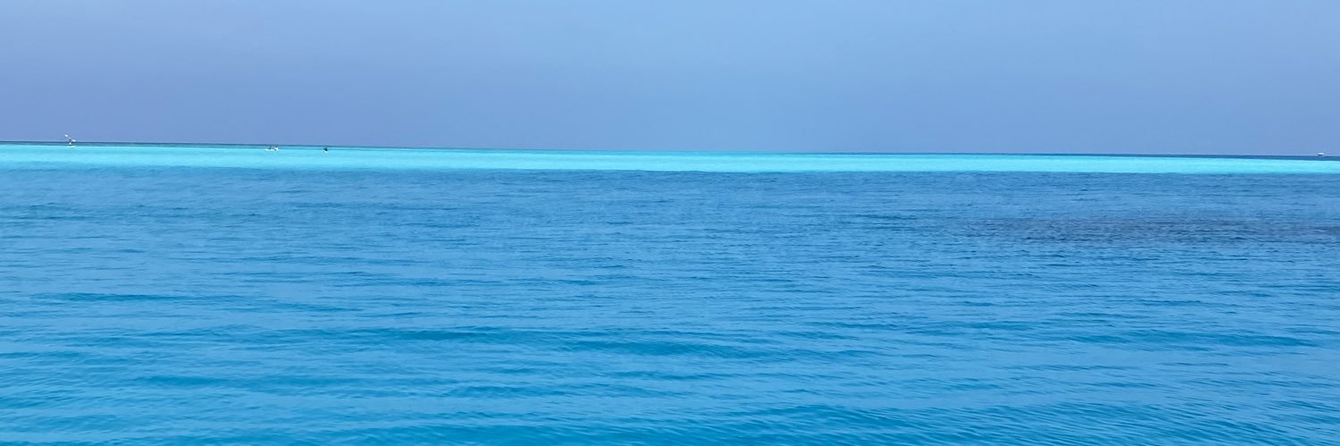 nazanasheed's profile banner image