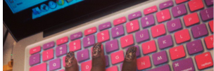 orethapedia's profile banner image