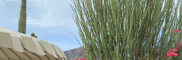 csanchez313 Profile Banner