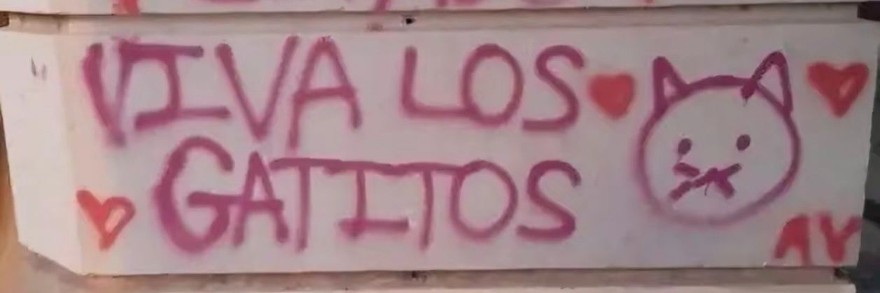 𝖇𝖎𝖌 𝖓𝖆𝖙𝖚𝖗𝖆𝖑𝖘 🏴󠁧󠁢󠁷󠁬󠁳󠁿🇮🇪🇵🇸 banner