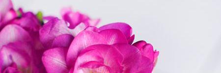 missabbeyn's profile banner image