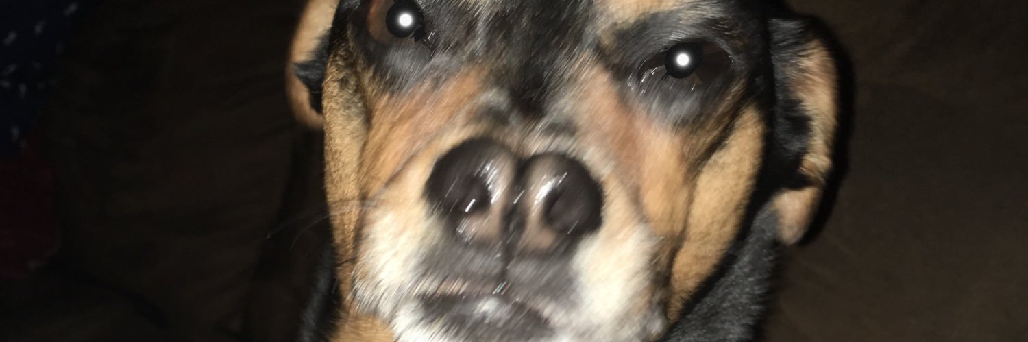 GarbrandtS's profile banner image