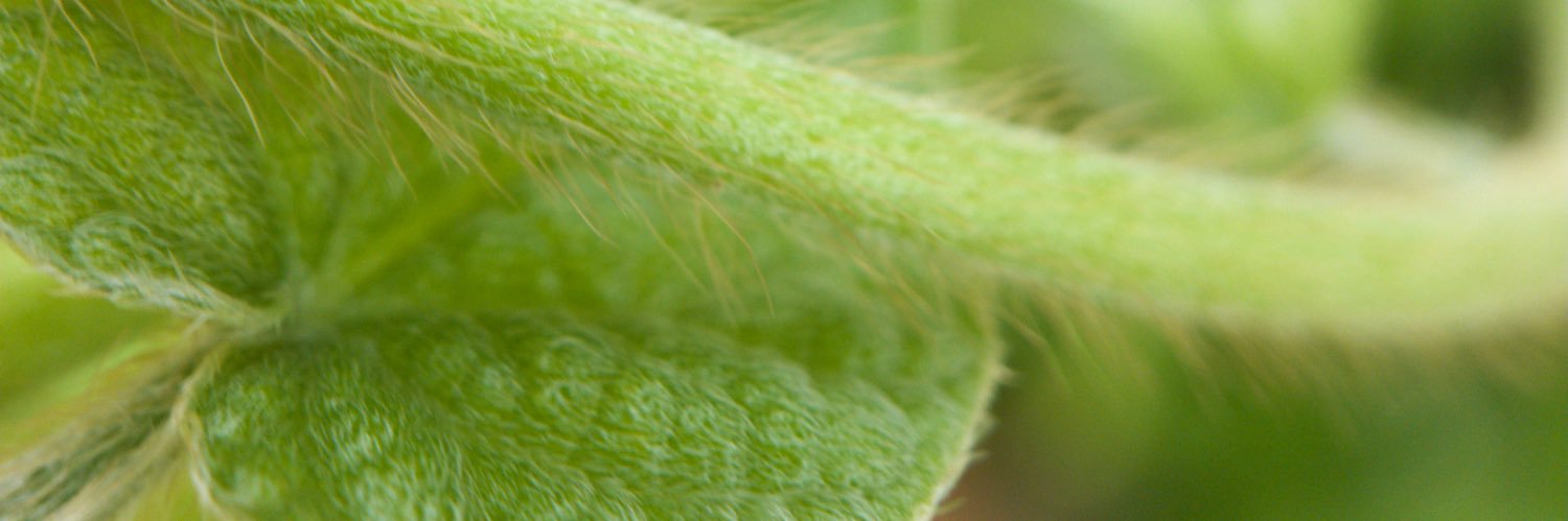 FRESHUNKLE's profile banner image
