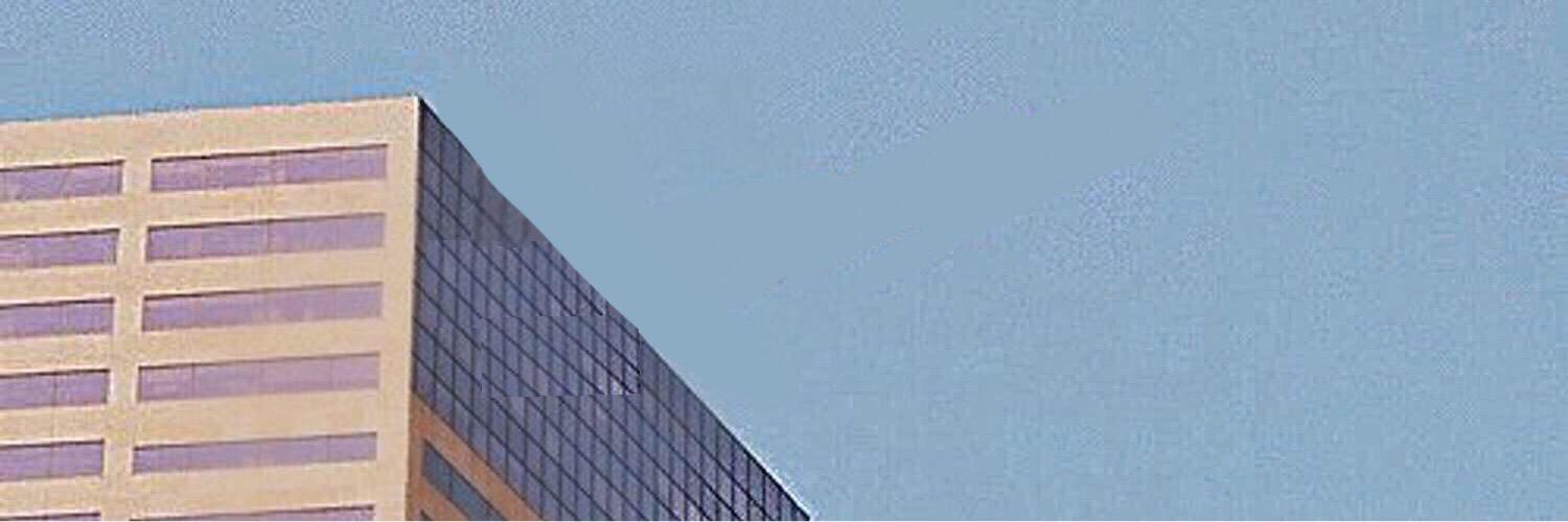 slsmvv's profile banner image