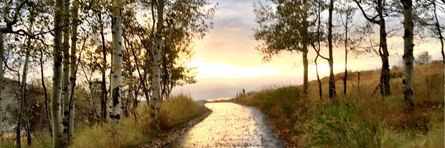 KristenDimick's profile banner image
