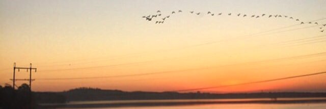 bna1733's profile banner image