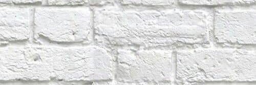 TamsRodriguez__'s profile banner image