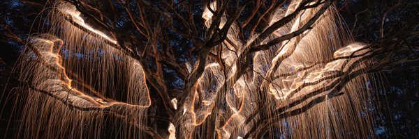 Schietti Profile Banner