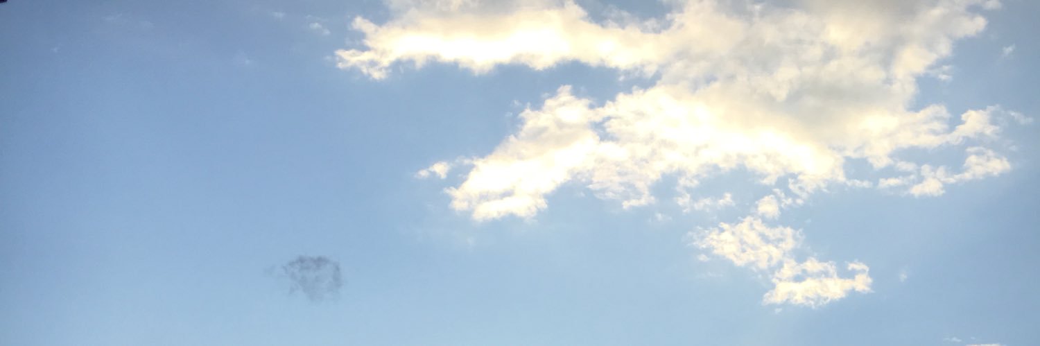 mint0888's profile banner image