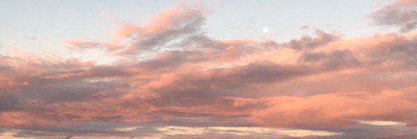 hani_jieun Profile Banner