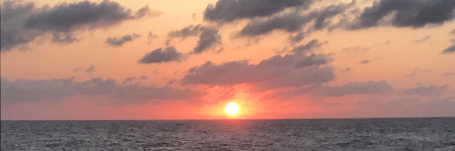 Ally_Little's profile banner image