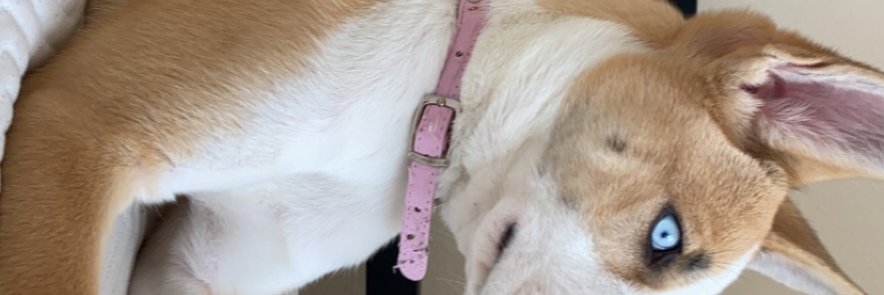 NASTYKELLY97's profile banner image