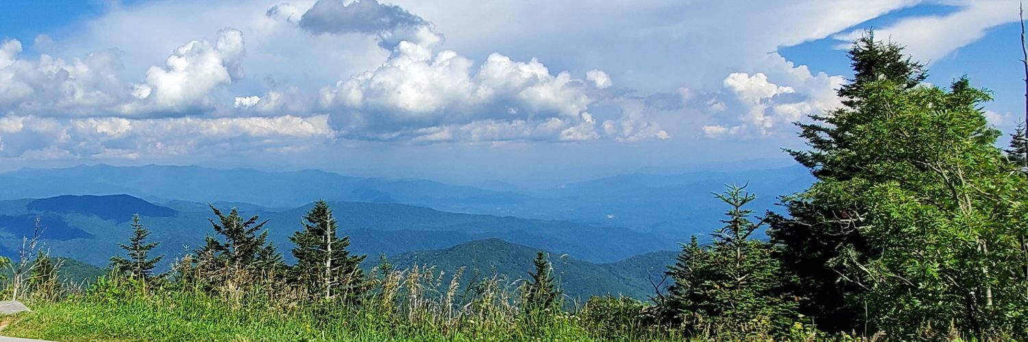 MeganPlotts's profile banner image