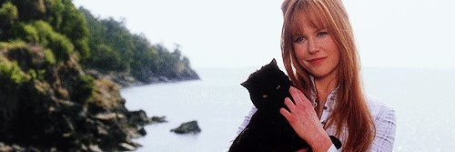 𝖌𝖎𝖌𝖎 𝖘𝖜𝖎𝖋𝖙 banner