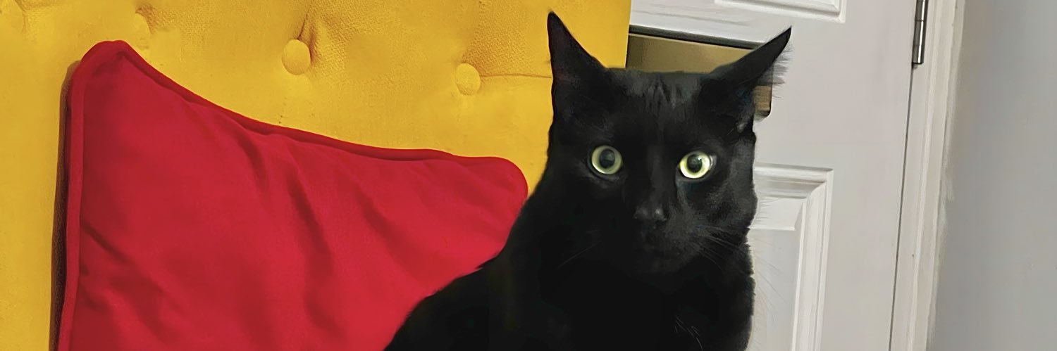 DominioDo's profile banner image
