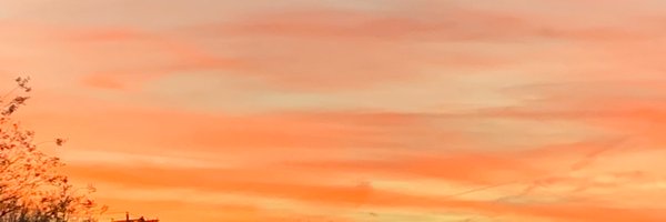 MsAnnaBaxter Profile Banner
