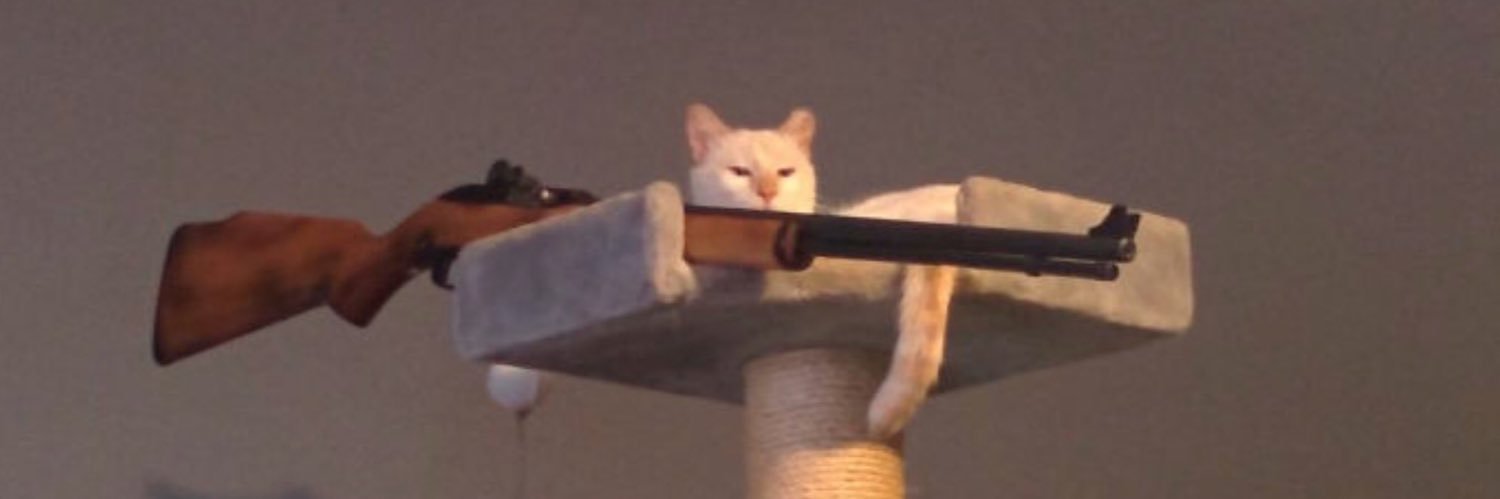 meowminee's profile banner image