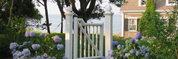 Techarina Profile Banner