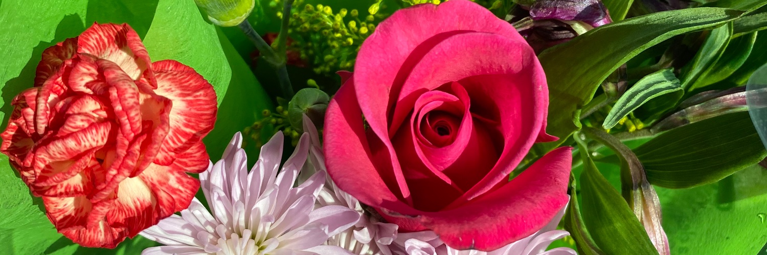 PiecesofDimes's profile banner image