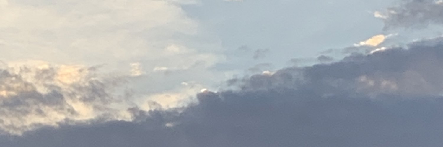 lauraagreenwald's profile banner image