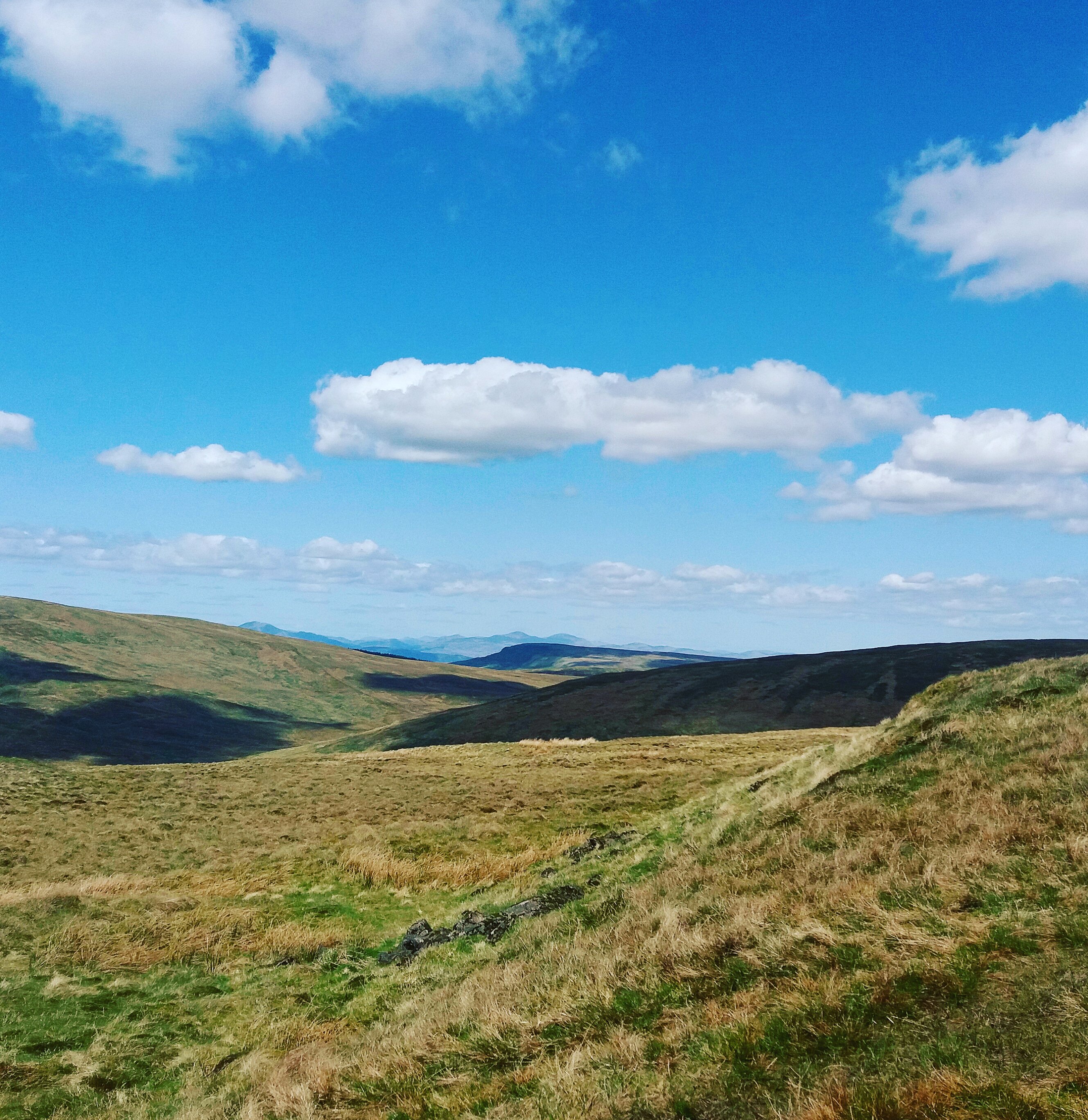 yorkshireNic's profile banner image