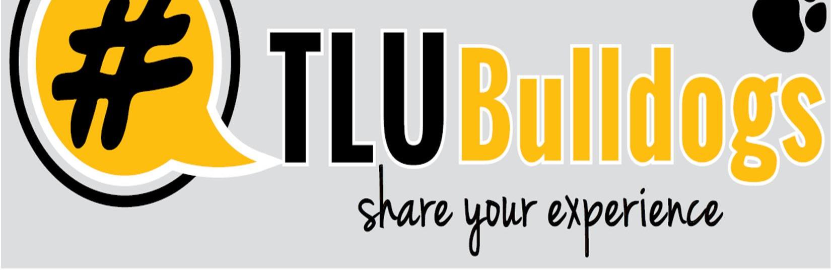 tluorientation's profile banner image